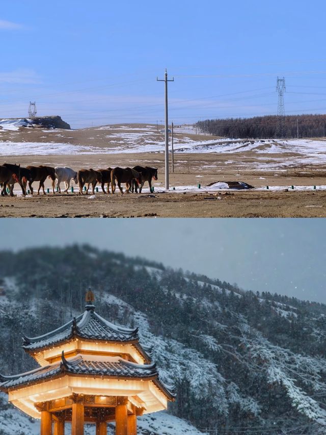 闖進冰雪童話！烏蘭察布冬日限定草原闖進冰雪童話！烏蘭察布°