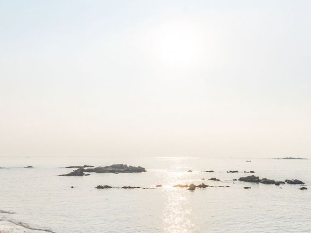 《青島雕塑園，海邊藝術寶藏打卡指南！》