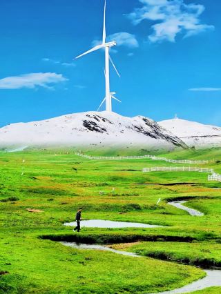 One-Day Trip to Oceanlike Alpine Meadow. Detailed Guide