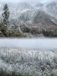 通化雞冠山︱邂逅東北的綠野仙蹤