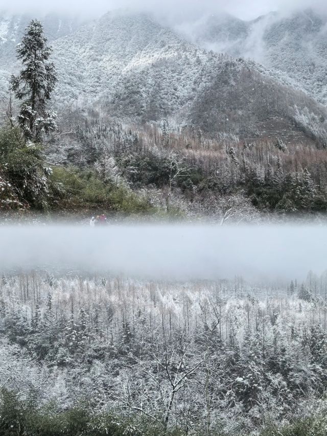 通化雞冠山︱邂逅東北的綠野仙蹤