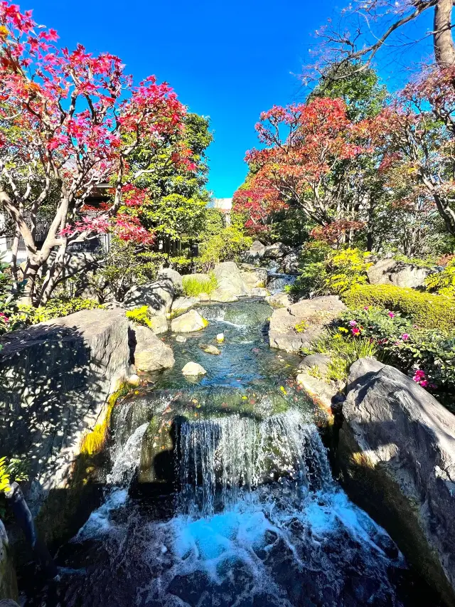 6-Day Japan Trip: Indulge in a Hot Spring Getaway