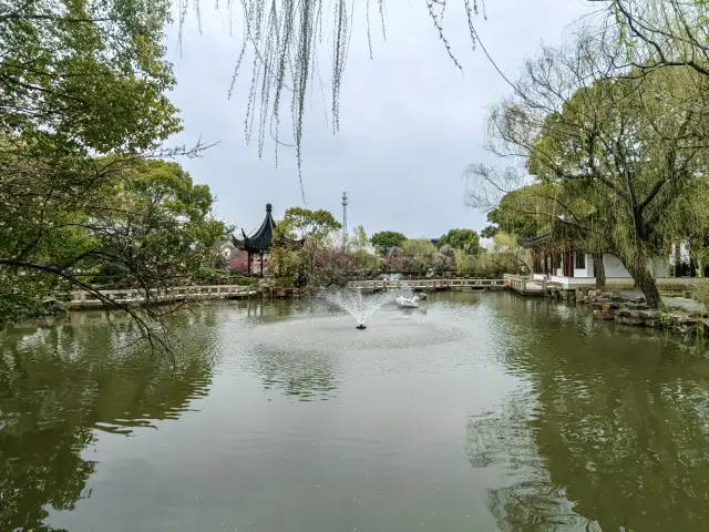 25/3/5 Plum Blossom Viewing at Xiangxuehai, Suzhou