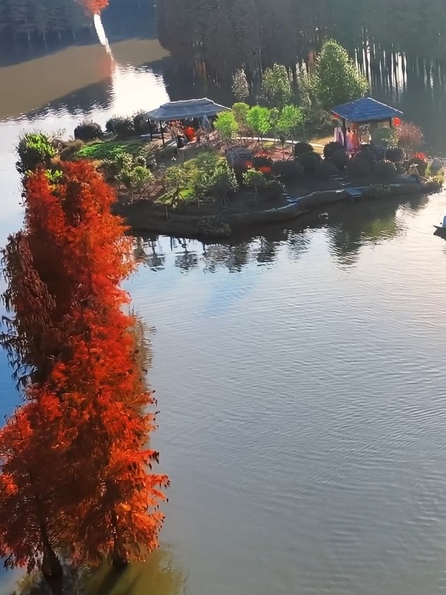 仙桃春日清新一日遊