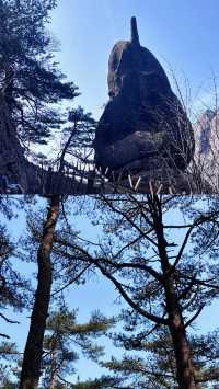 避雷黃山！真的不要太「奇」了
