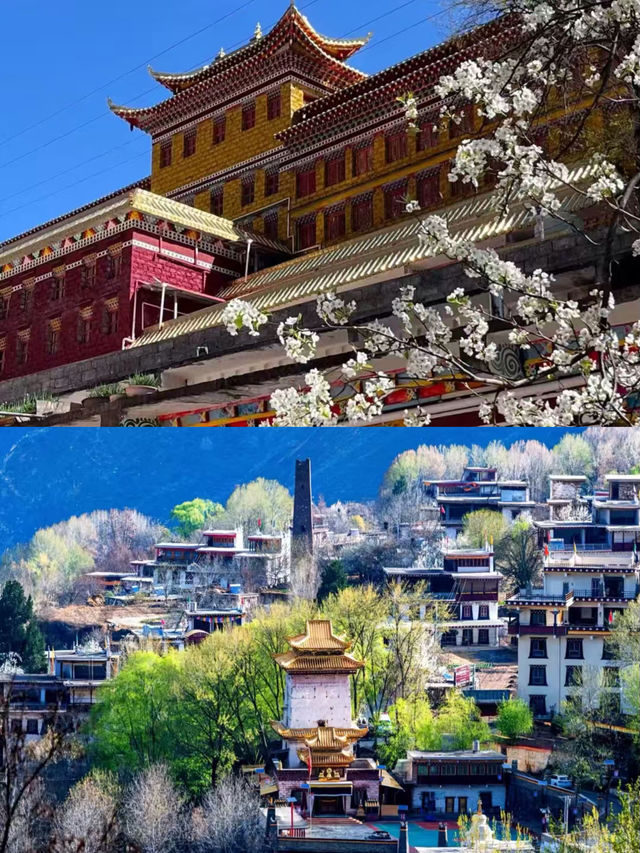 金川已回，說說我的真實感受。