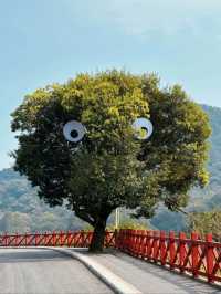 石門森林公園 | 周末吸氧好去處，爽麻了