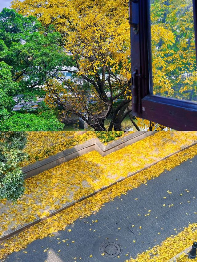 清明2日遊 暢遊廣州賞花攻略