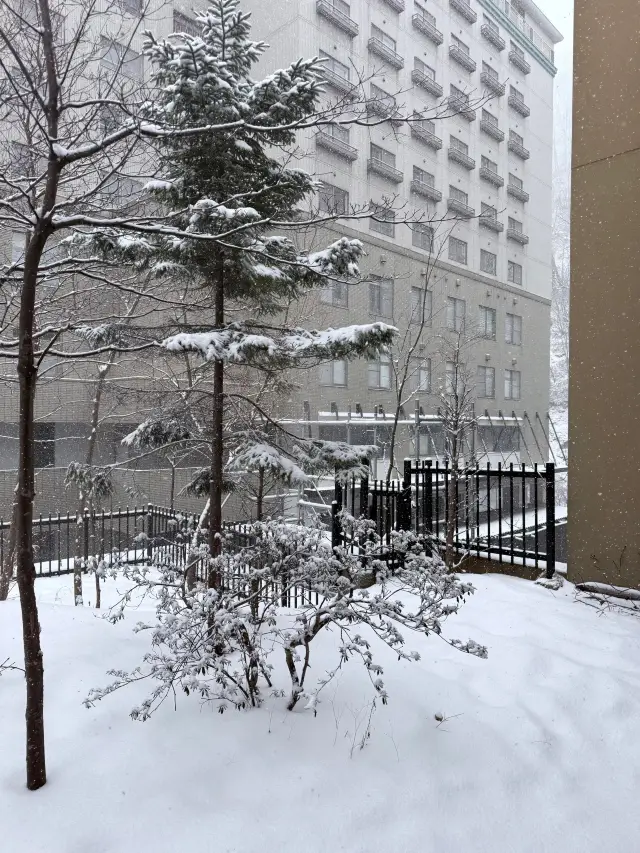 7-Day Super Easy Japan Itinerary Overview