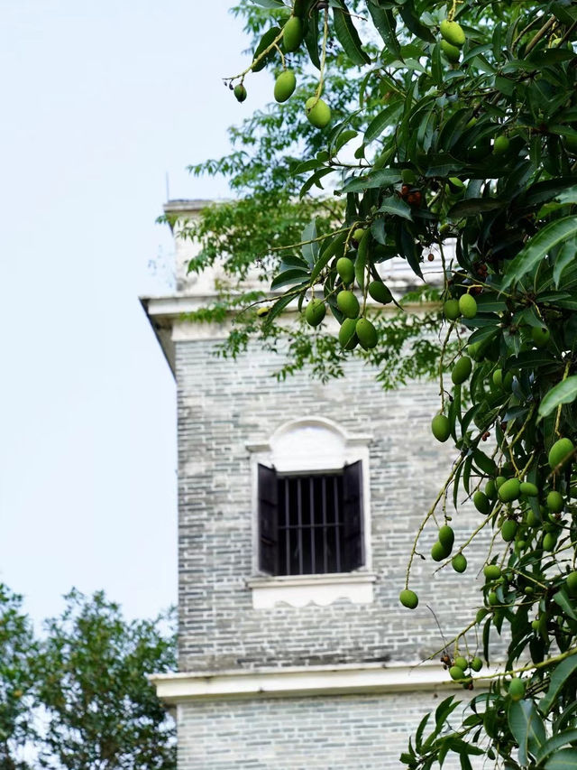 我打卡了開平碉樓文化旅遊區