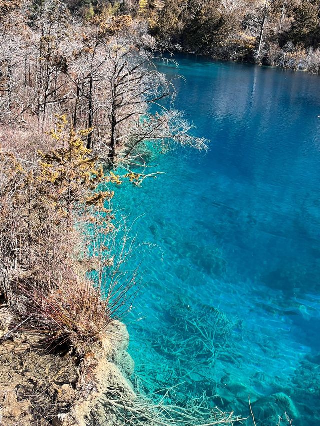 清明節小長假 天水等地旅遊攻略來啦別錯過