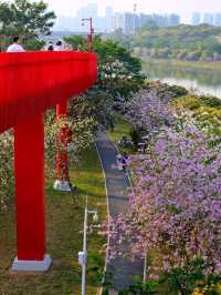 🌉深圳虹橋公園，夢幻打卡地