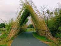 Haokun Wet Land Reserve: Ecological Treasure and Nature Beauty Museum