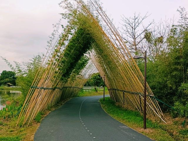Haokun Wet Land Reserve: Ecological Treasure and Nature Beauty Museum