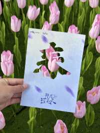 深圳春天！就是一個巨大的莫奈花園💐附路線！