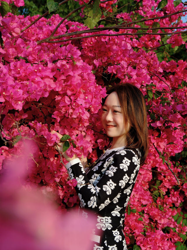 🌸全家一起去踏春｜廣州海珠湖🍀