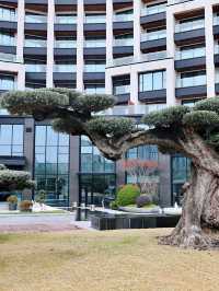 主打健康養生，在上海享受一段奢華城市旅居之旅！