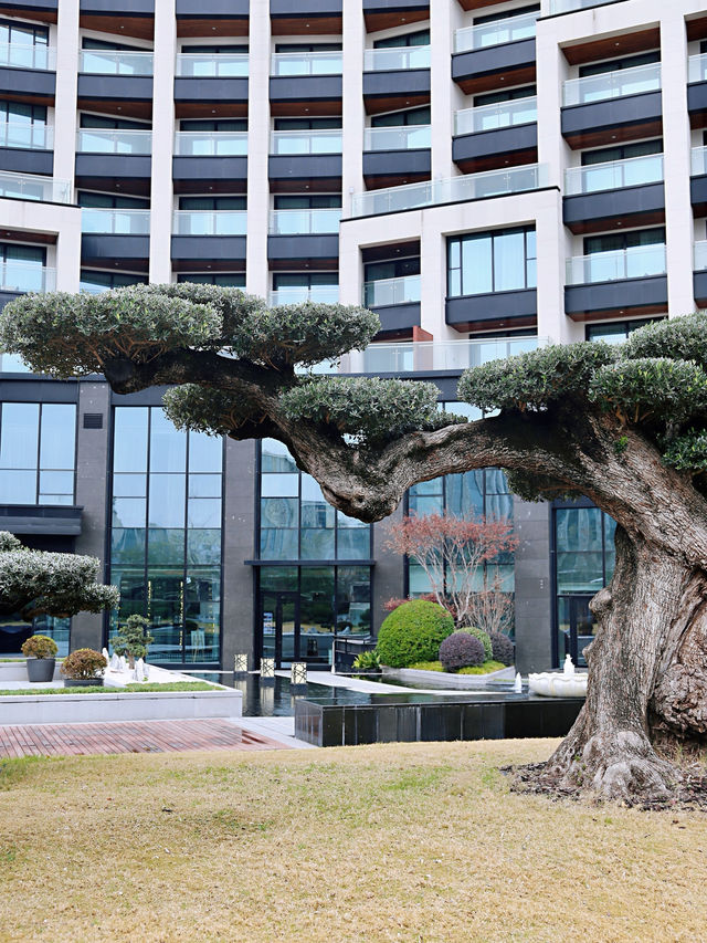主打健康養生，在上海享受一段奢華城市旅居之旅！