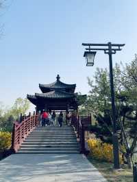 雄安寶藏公園 | 悅容公園保姆級遊玩攻略