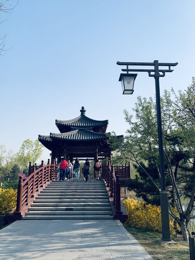 雄安寶藏公園 | 悅容公園保姆級遊玩攻略