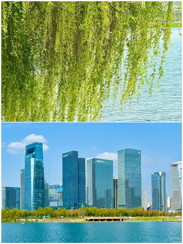 成都美食之旅防踩雷攻略