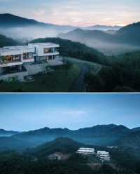 被竹海茶田360°包圍！入住安吉療癒系森林酒店