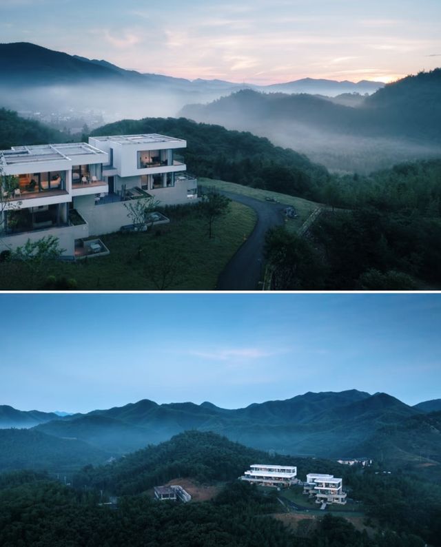 被竹海茶田360°包圍！入住安吉療癒系森林酒店