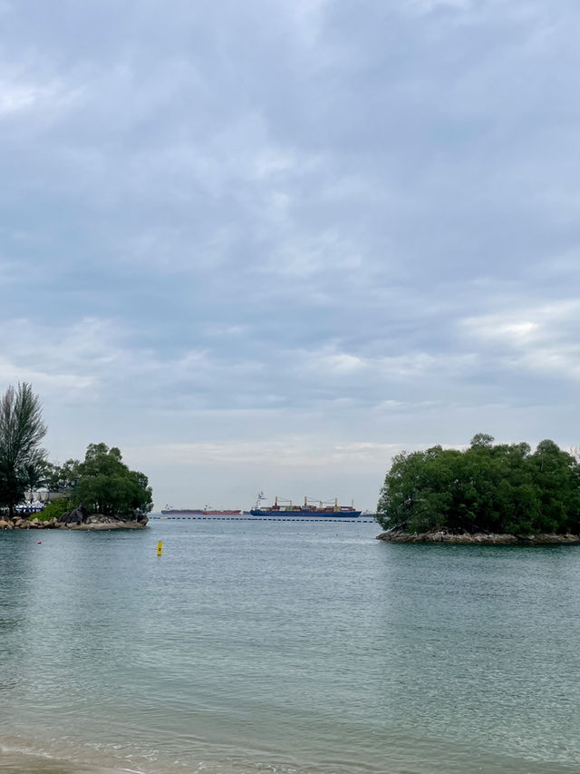 🇸🇬新加坡亞洲大陸最南端 | 直角椰子樹🌴✨
