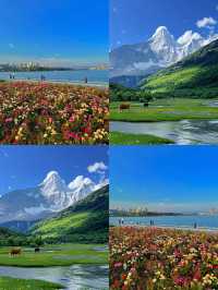 五一旅遊天花板！8城深度攻略，體驗感拉滿
