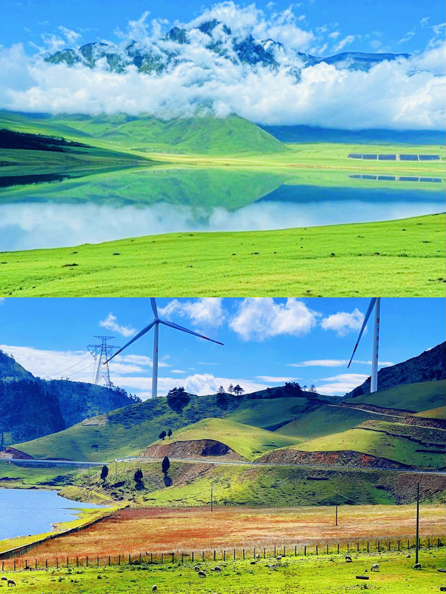 適合六七月份去旅行的地方可以看索瑪花