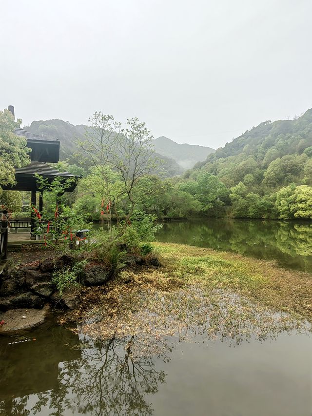 杭州新安綠道西溪畈，人少景美的世外桃源