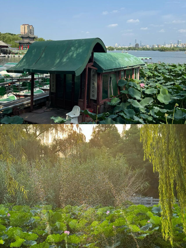 濟南漫遊指南：泉城水韻與老城煙火