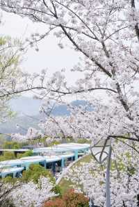 第一次去牛首山應該怎麼玩？懶人版一日遊攻略！