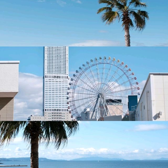 日本｜最後半天衝的景點竟成旅途高光時刻！真的會羨慕住泉佐野的人！！