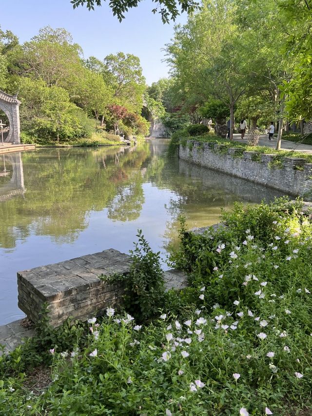 揚州小眾秘境大揭秘！朴園：免費園林中的隱世桃園