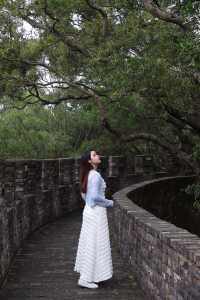 唔好錯過被嚴重低估嘅廣州出片聖地