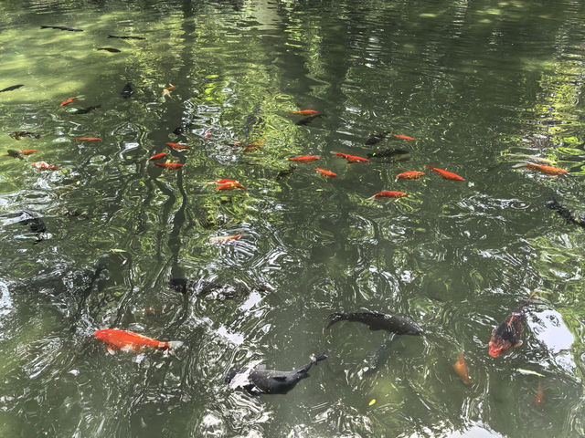 濟南兩日遊攻略
