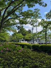 東京最適合運動的大公園，距離澀谷僅8分鐘