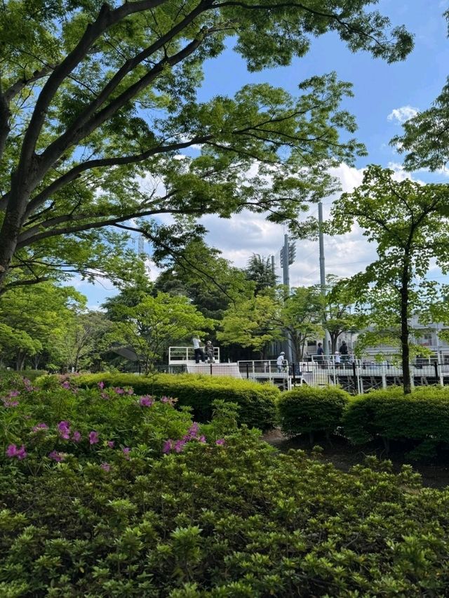 東京最適合運動的大公園，距離澀谷僅8分鐘