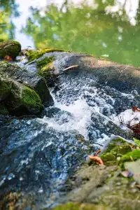 漳州雲水涧：閩南秘境中的山水詩畫
