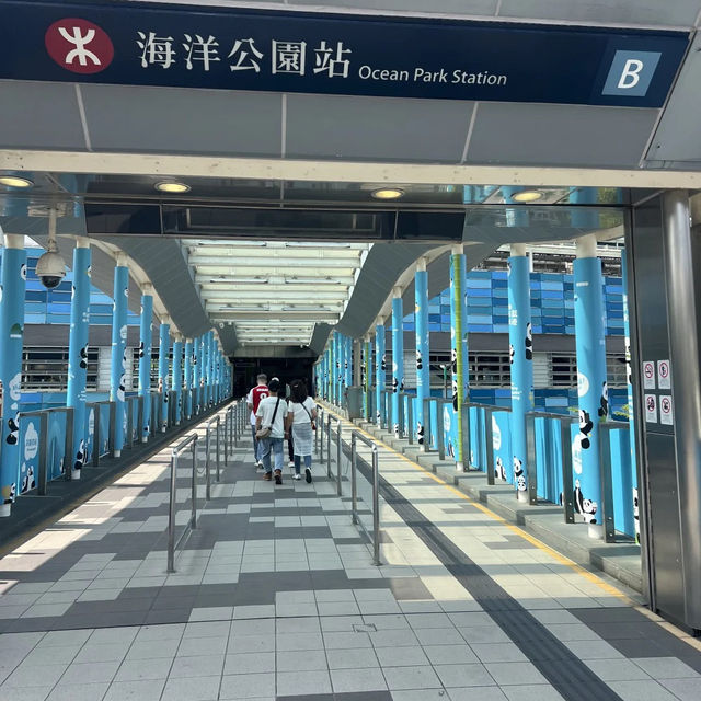香港親子酒店天花板！熊貓主題萌到心融🐼