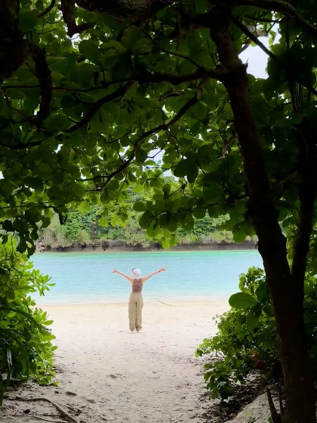 🏝️石垣島岸上日 · 鼓浪嶼號郵輪攻略✨