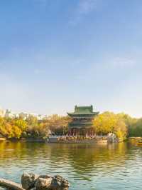 新疆之旅.中衛等地20日深度遊全攻略