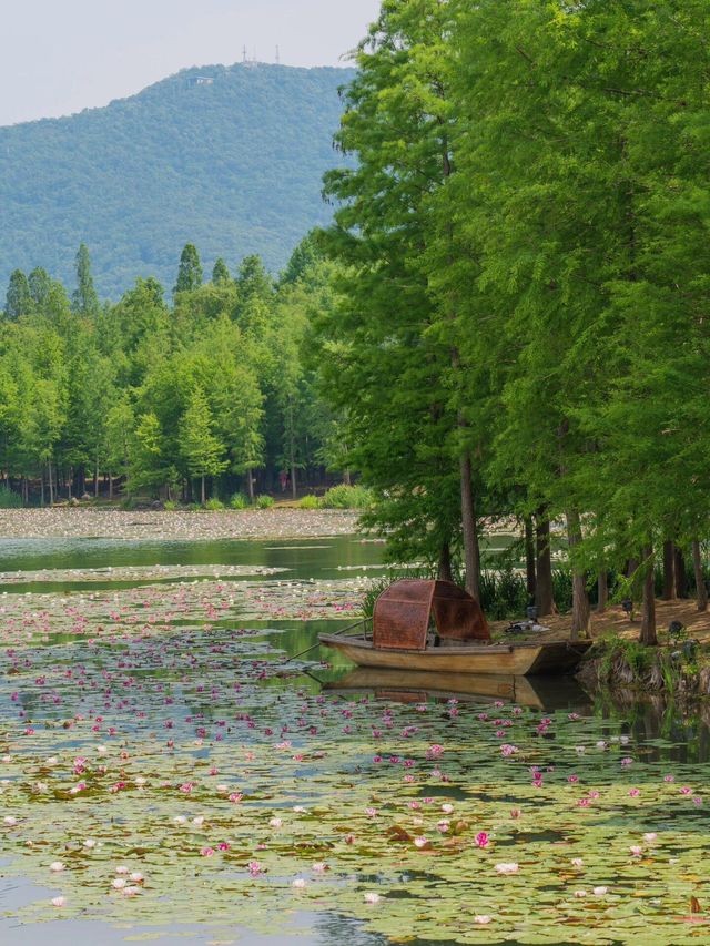 一篇攻略，話你知點樣玩轉南京鐘山風景區