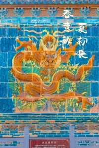 剛從大同返嚟，講啲難聽嘅大實話