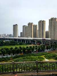 鄉土中國——高鐵沿途嘅風景（東南）