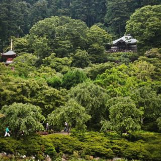 Hidden Gem in Osaka! A Detailed Guide to Katsuō-ji Temple