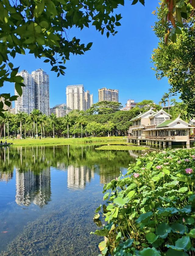 尋幽中山園：錦江側畔的夏日清涼詩箋