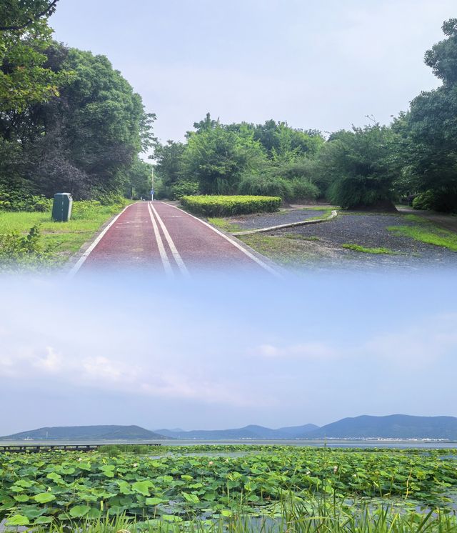 告別城市喧囂！走進蘇州太湖的清涼度假天堂