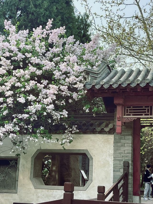 來泰安玩，呢一篇就夠晒！